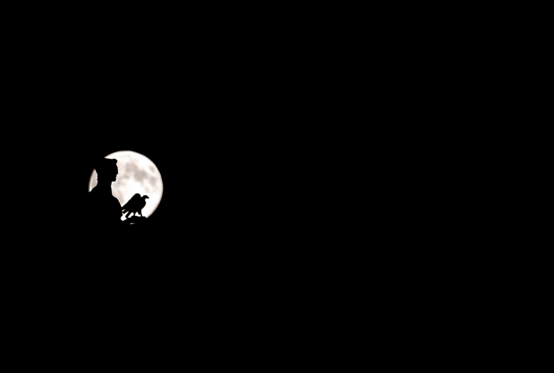 Illustration for article titled Las mejores fotos de la superluna de ayer